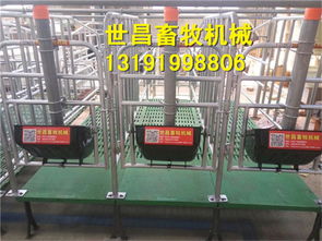 豬限位欄報(bào)價(jià)與廠家選擇指南