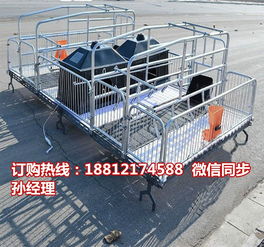 養(yǎng)豬設(shè)備專(zhuān)業(yè)制造商 定西豬產(chǎn)床批發(fā)與雙體豬產(chǎn)床優(yōu)勢(shì)解析