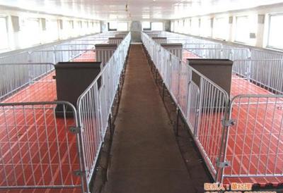 全面解析養(yǎng)豬設(shè)備 提升養(yǎng)殖效益的關(guān)鍵工具