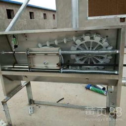 豬場(chǎng)自動(dòng)化料線 養(yǎng)豬設(shè)備升級(jí)，邁向高效精準(zhǔn)飼養(yǎng)新時(shí)代