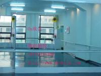 芭蕾舞塑膠地膠,芭蕾舞專用地墊[供應(yīng)]_地板