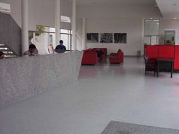 塑膠地板 塑膠地板