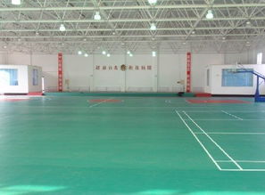 天津運動地板、廊坊PVC地板、唐山塑膠地板與滄州球場地板廠家圖片展示